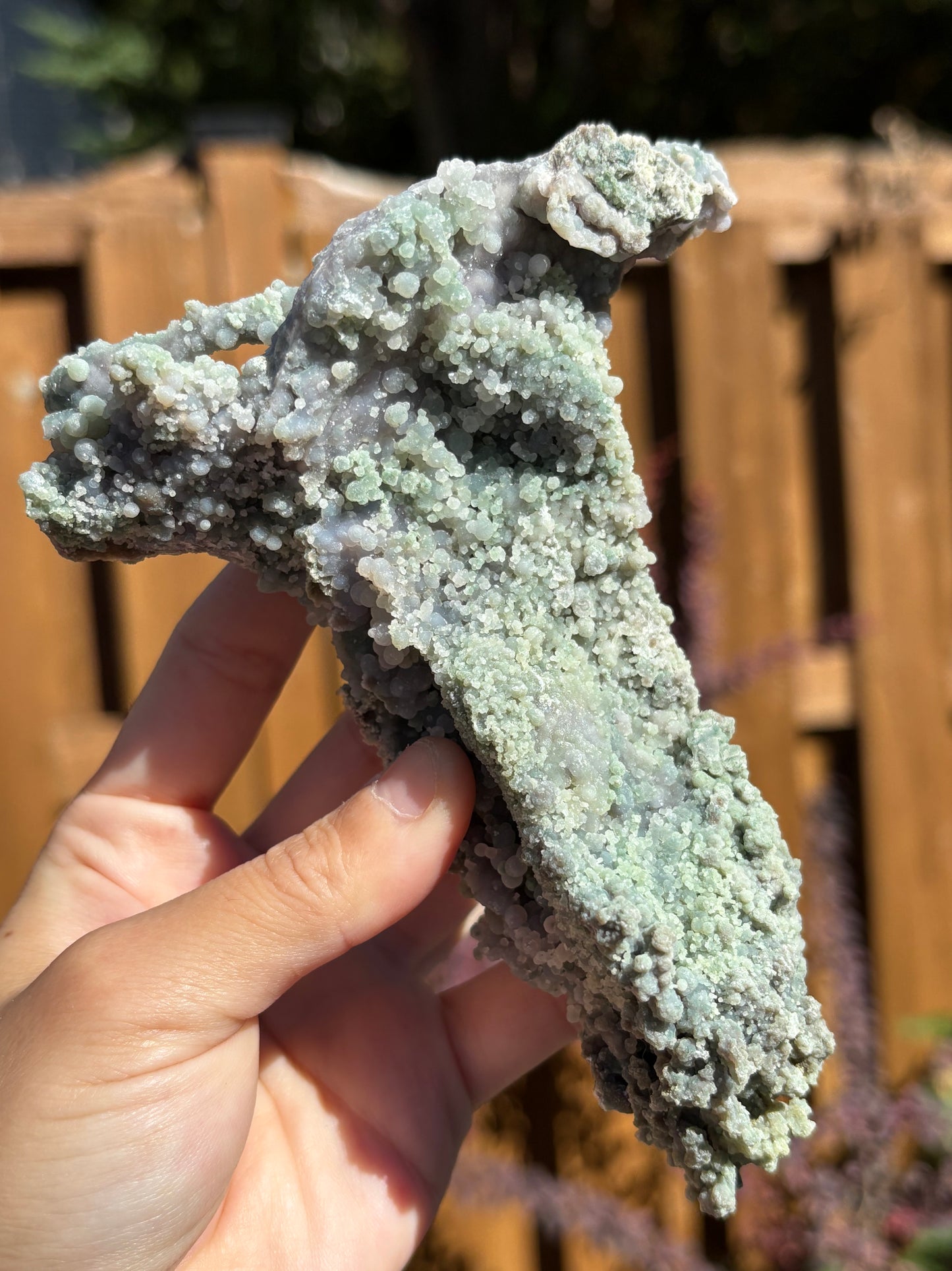Green Grape Agate Cluster