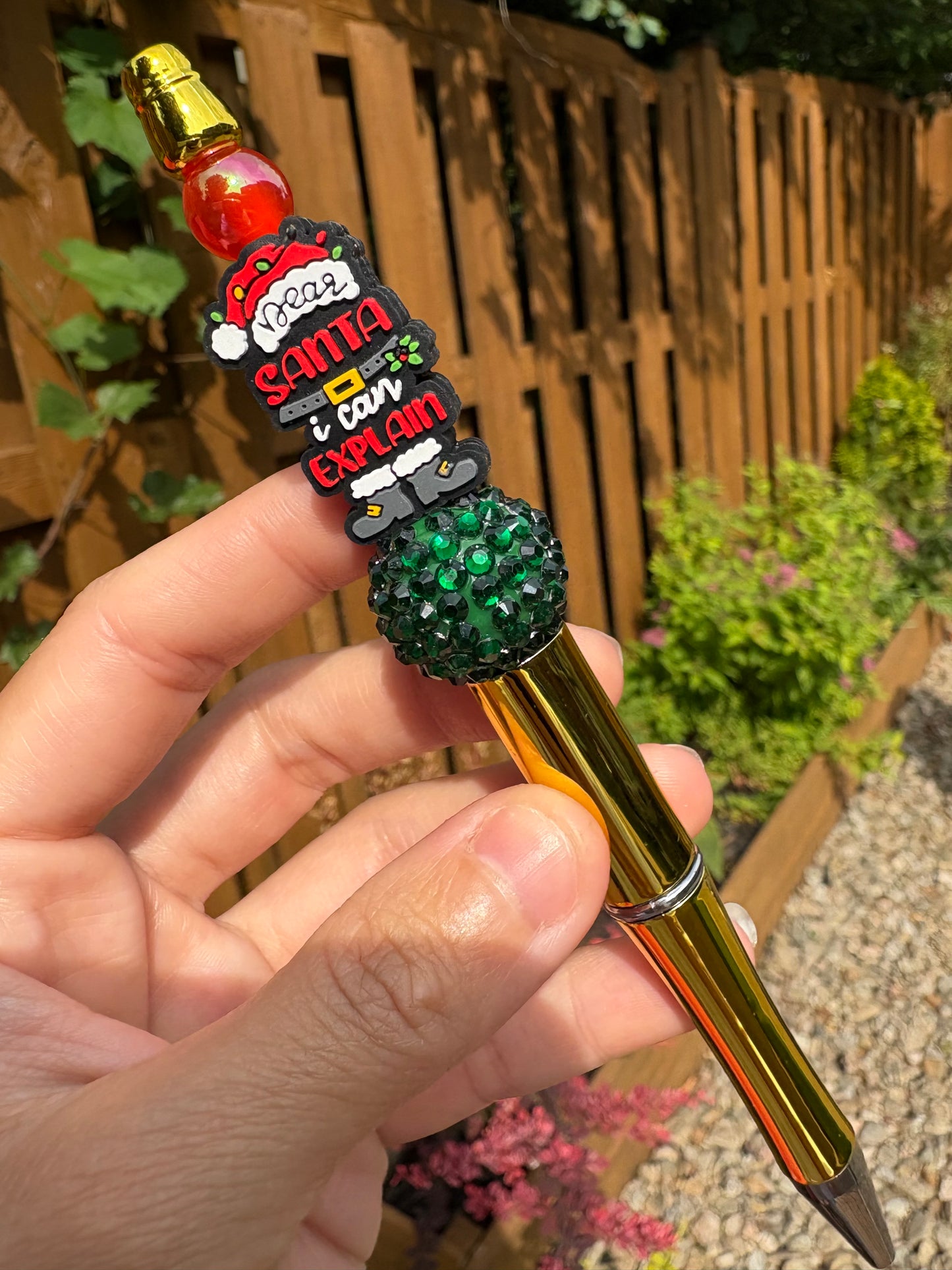 Dear Santa I Can Explain