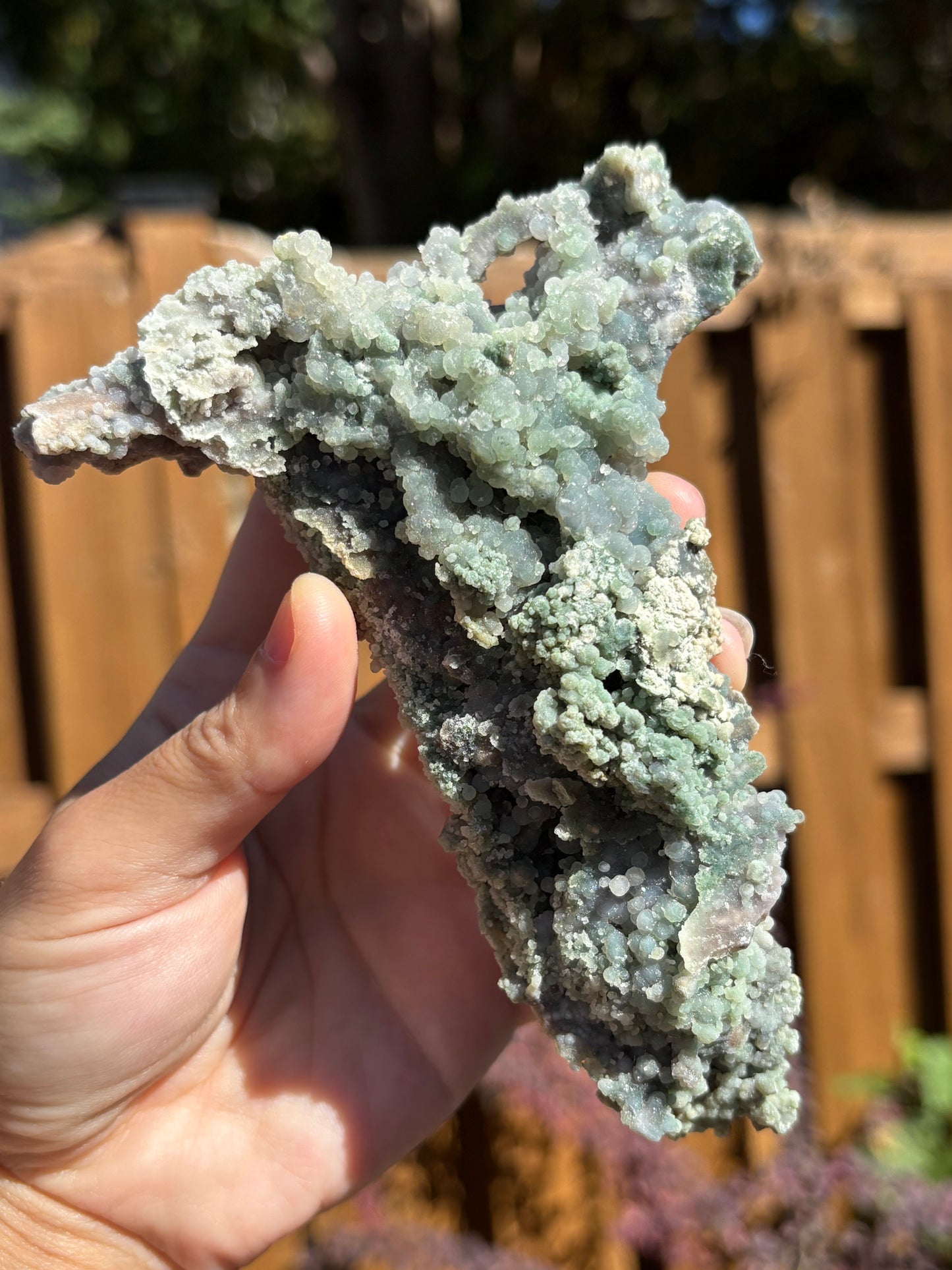 Green Grape Agate Cluster