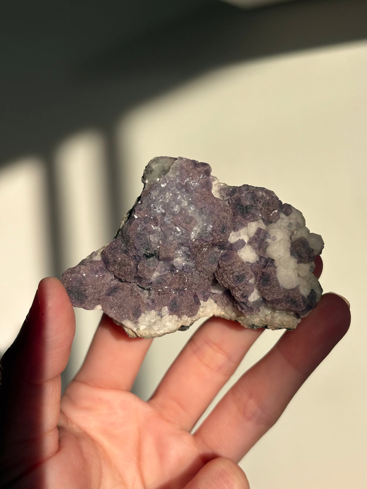 Purple/Blue Fluorite Clusters