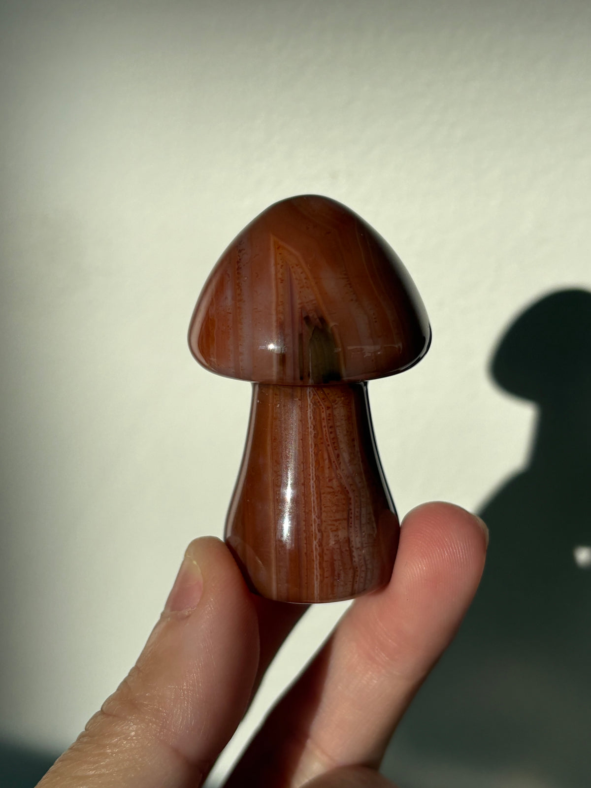 Carnelian Mushies