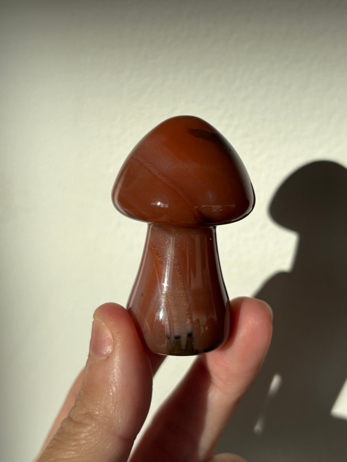 Carnelian Mushies