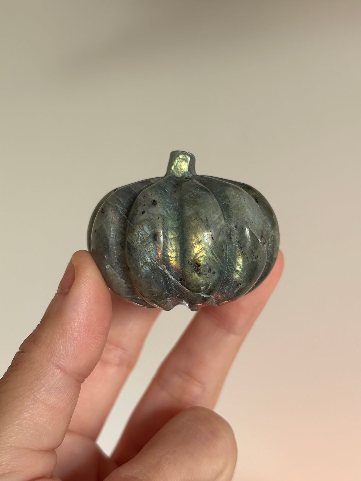 Mini Pumpkins