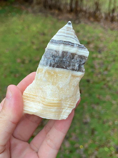 Zebra Calcite Chunks