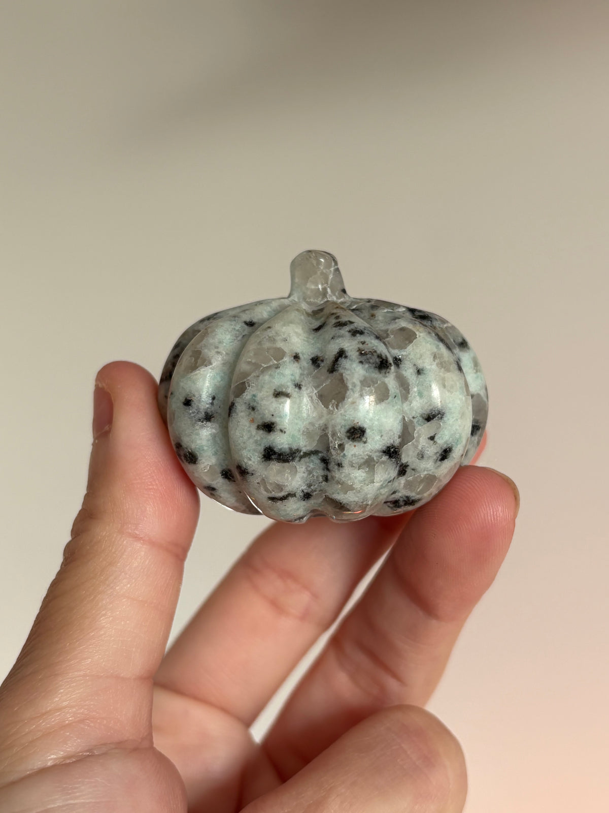 Mini Pumpkins
