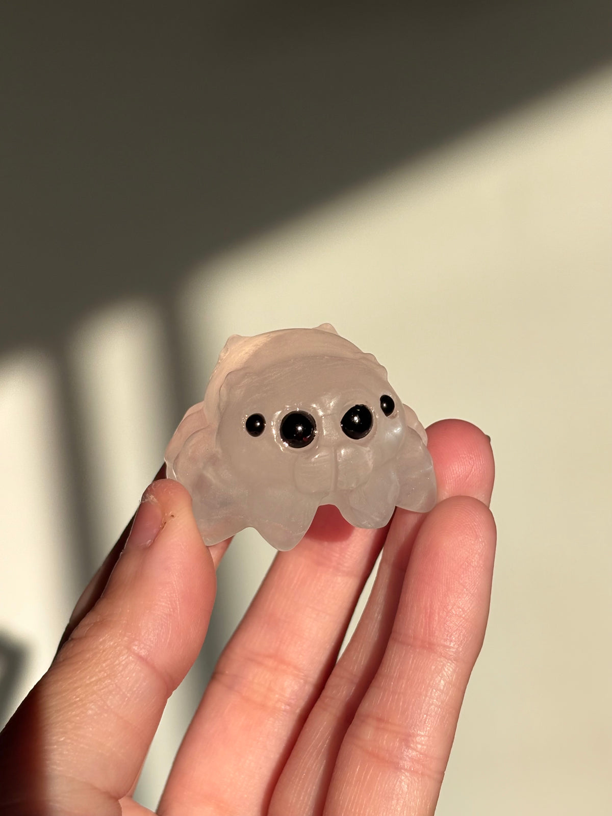 Cobweb Cuties